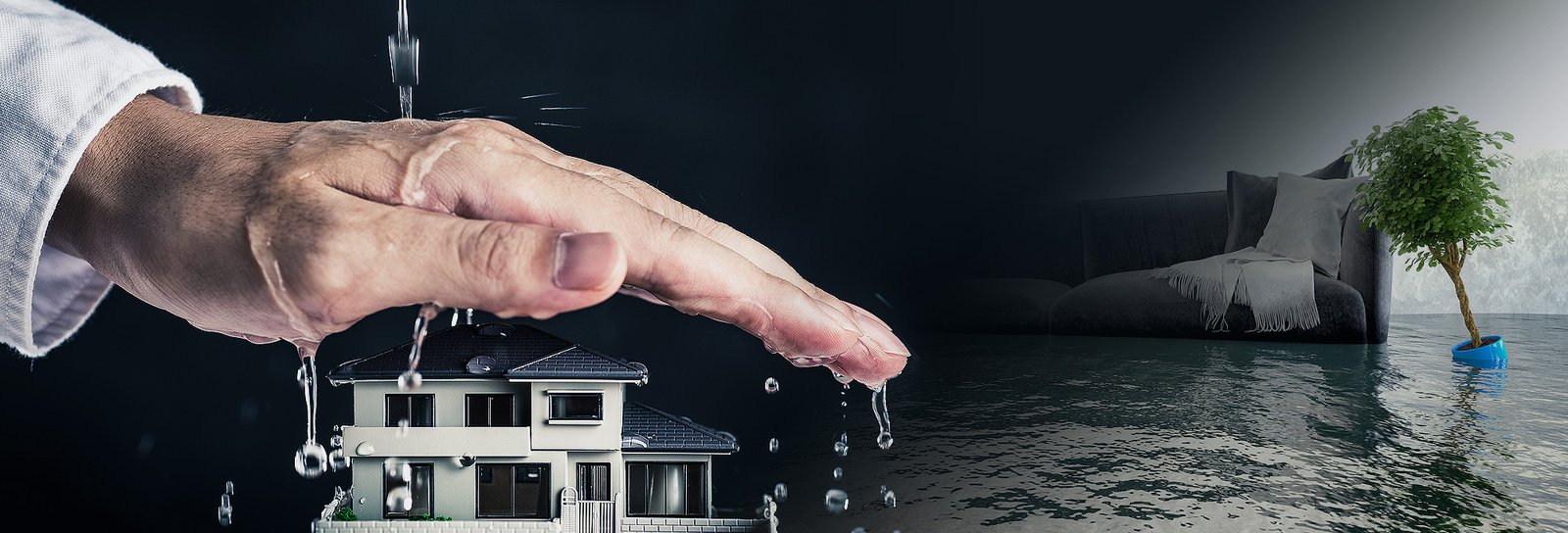 Why Is It Important To Seek The Help In Water Damage Condition?