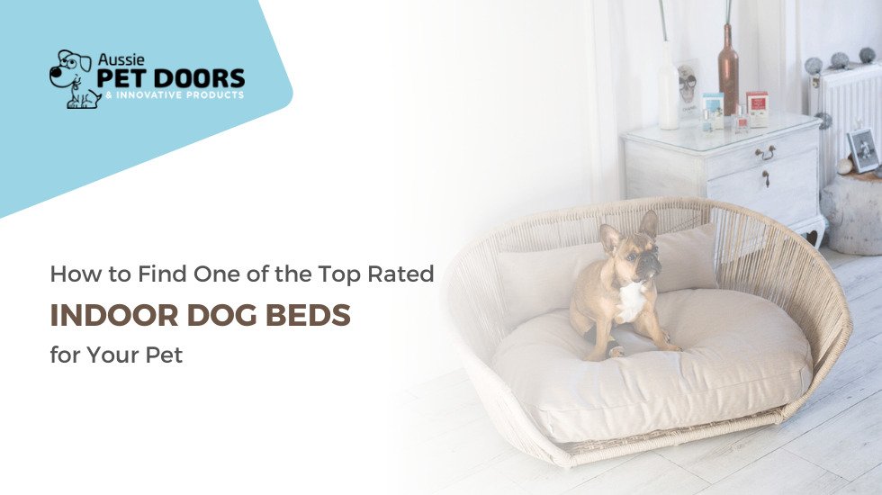 How to Find One of the Top Rated Indoor Dog Beds for Your Pet?
