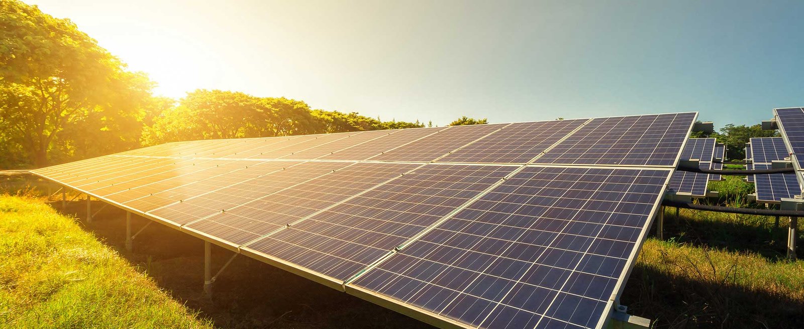 Solar Energy Is The Future. Here’s Why Your Business Should Give It A Try