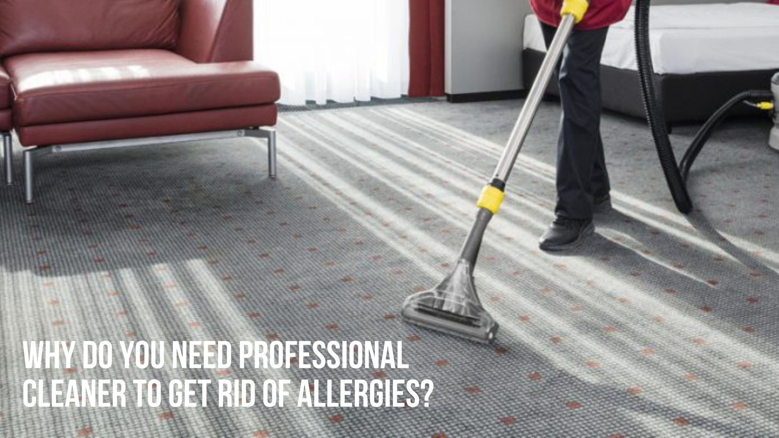 Why Can Commercial Carpet Cleaning Save Your Business Money?