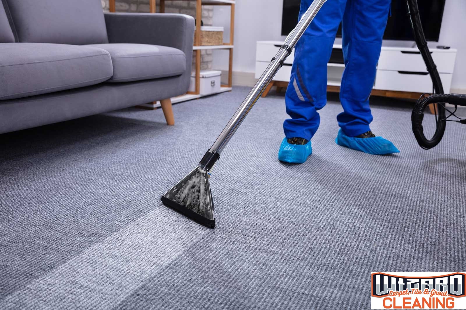 The Science of Clean: Understanding the Carpet Cleaning Process