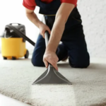 Professional vs. DIY Rug Cleaning: Making the Right Choice for Your Home